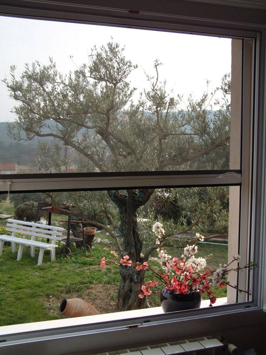 Moustiquaire enroulable Saga